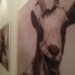 Apartman Alps & Nature See